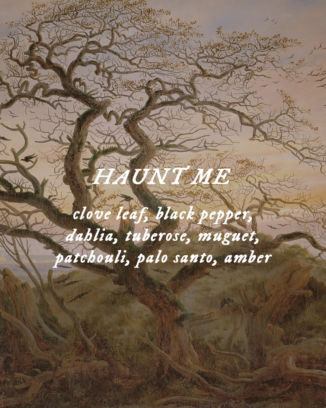 Haunt Me - Perfume Oil