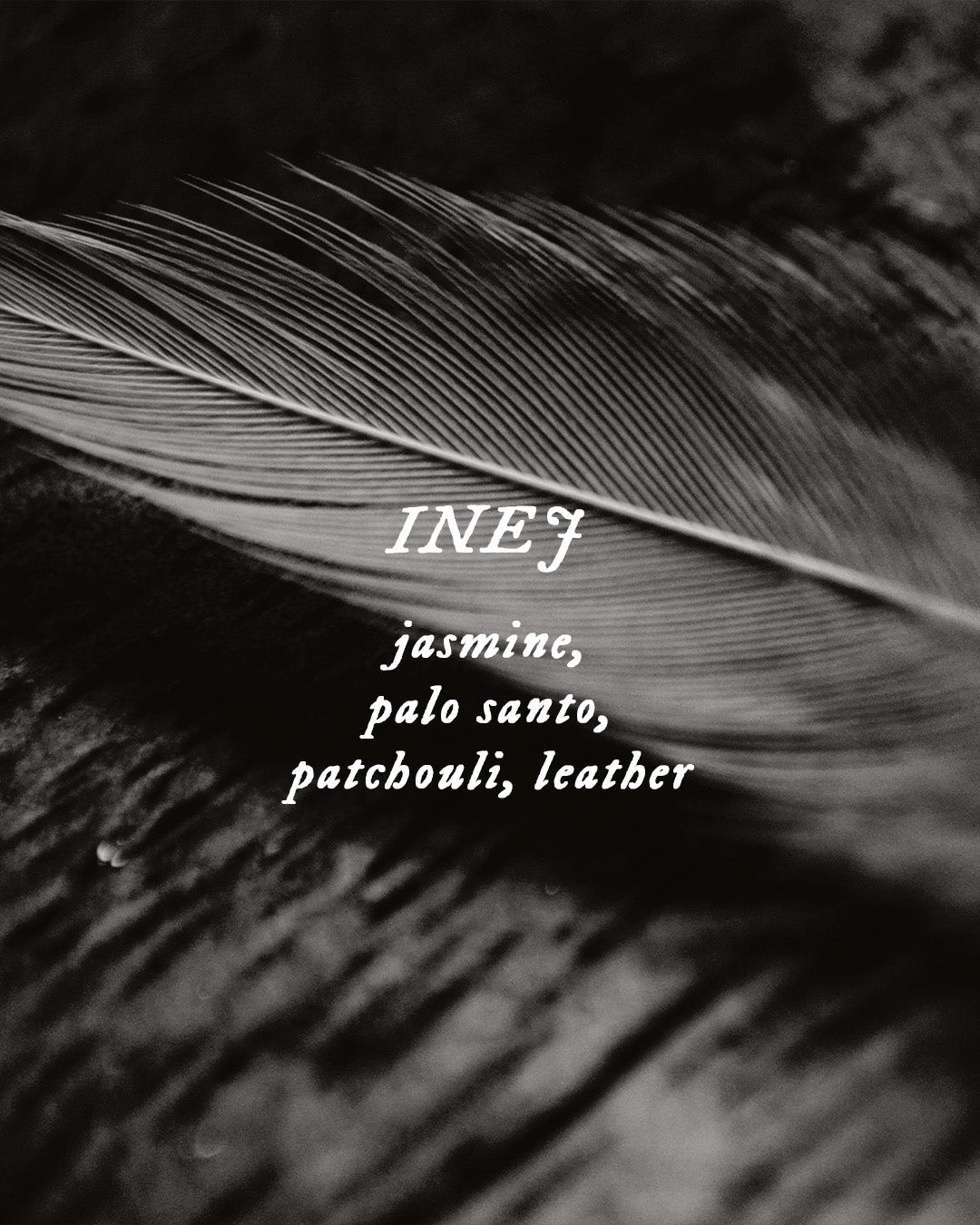 Inej - Perfume Oil