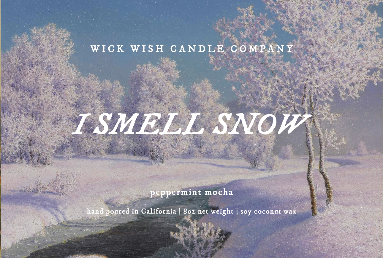 I Smell Snow - Soy Coconut Candle