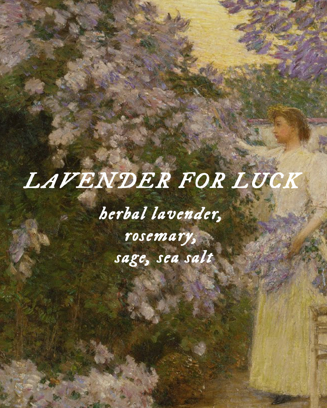 Lavender for Luck - Perfume Oil