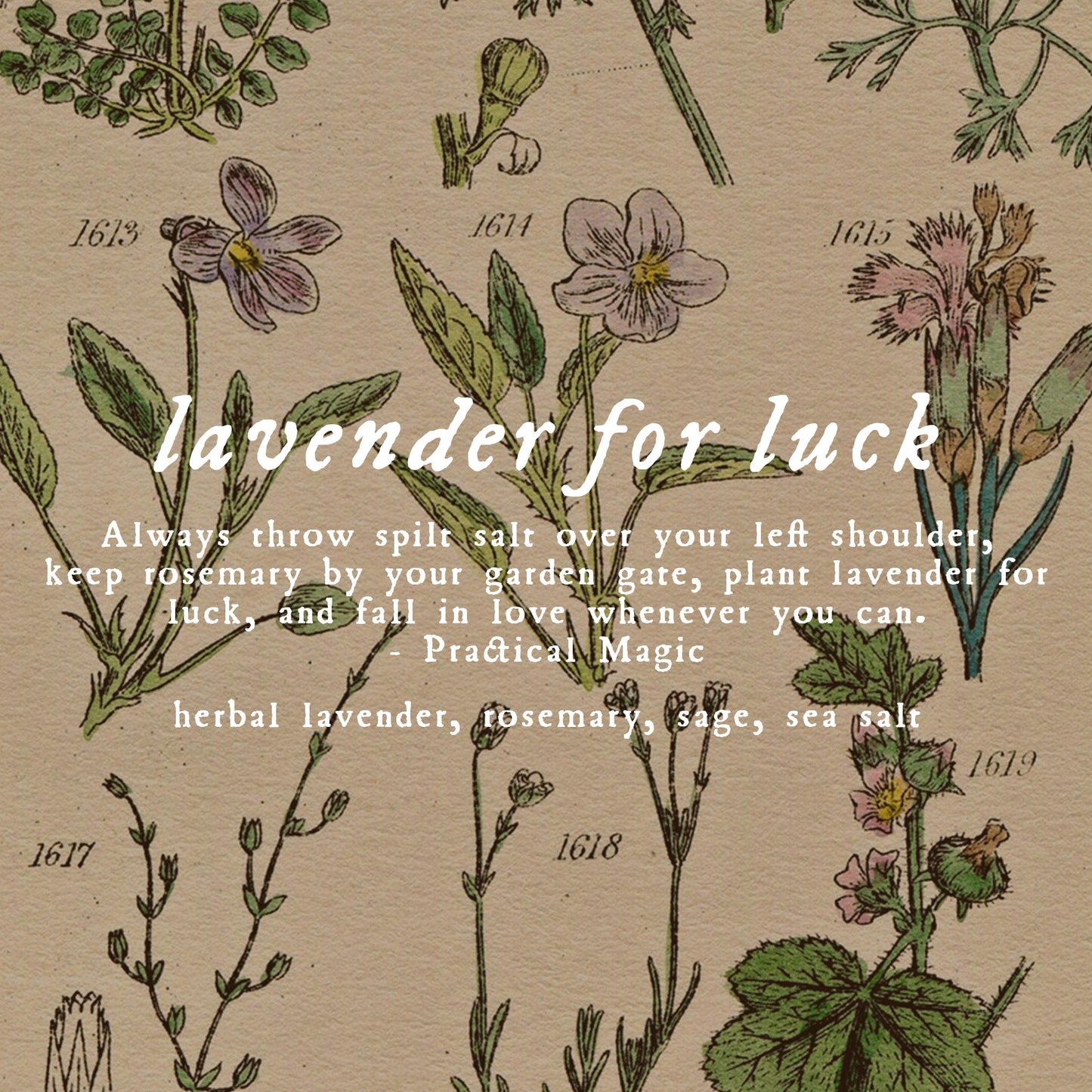 AUTUMN COLLECTION - Choose Your Scent - Body Buttercream