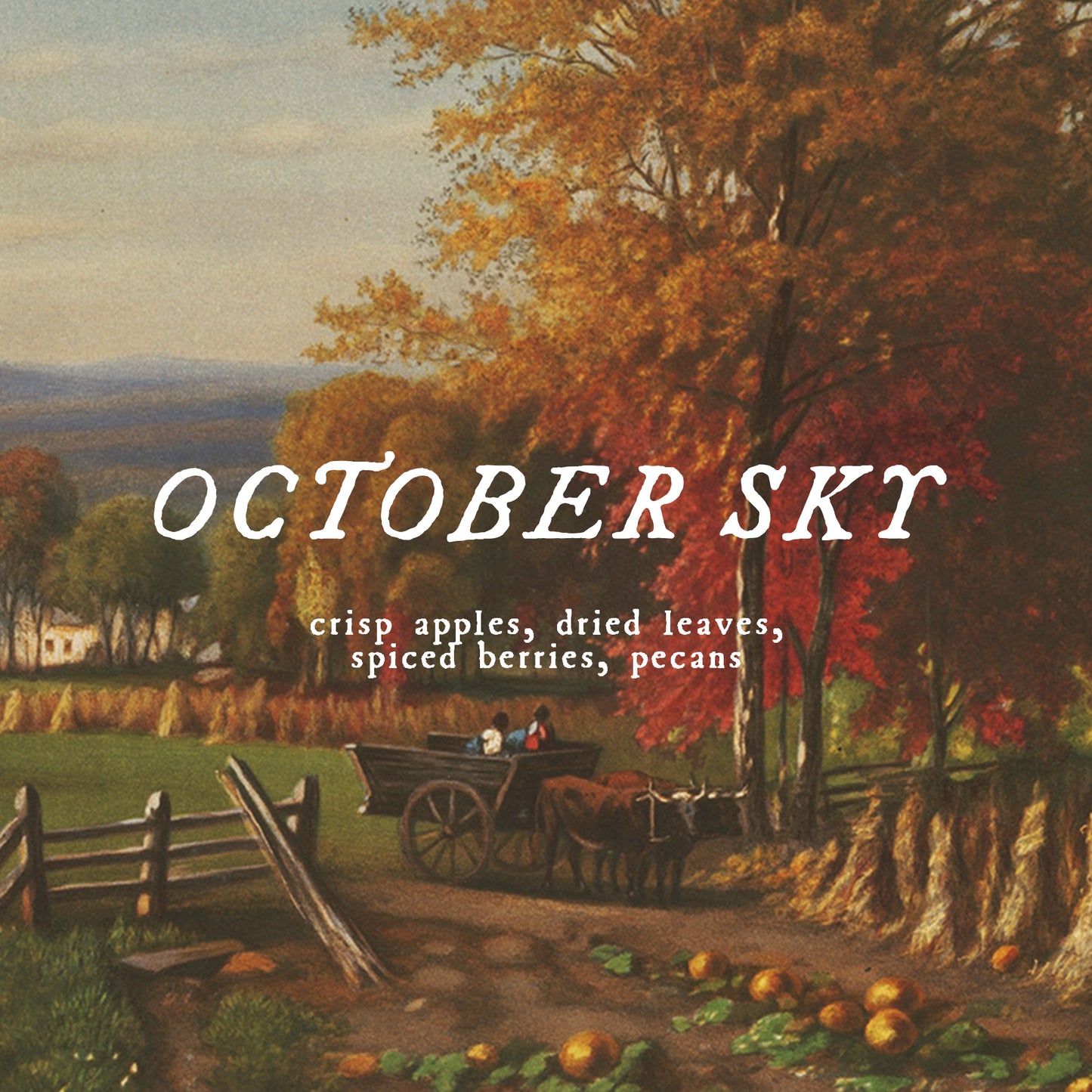 Autumn Collection - Choose Your Scent - Perfume Oil