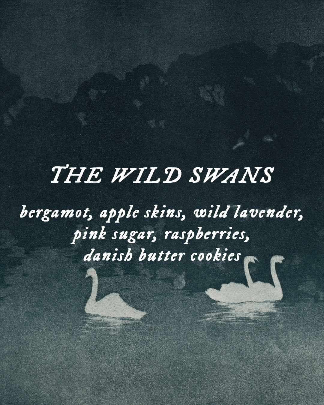 The Wild Swans - Perfume Oil