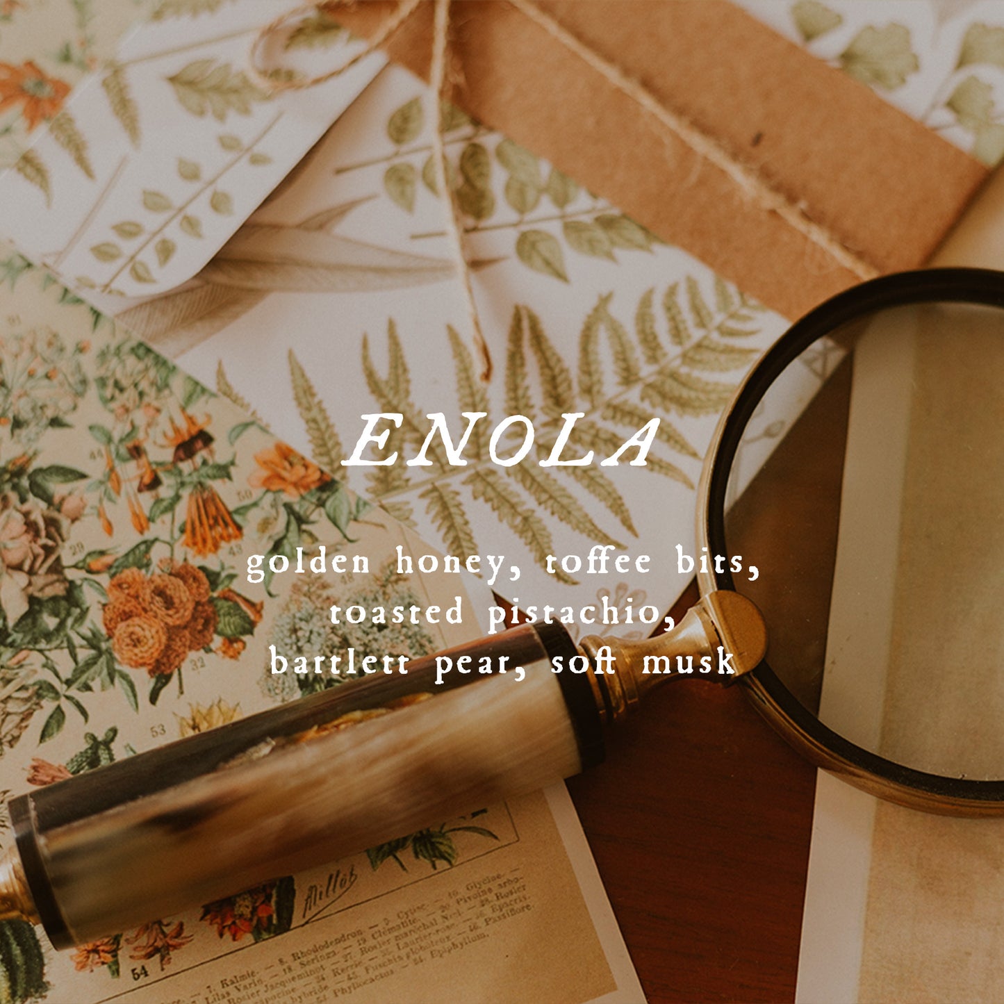 Enola - Perfume Oil