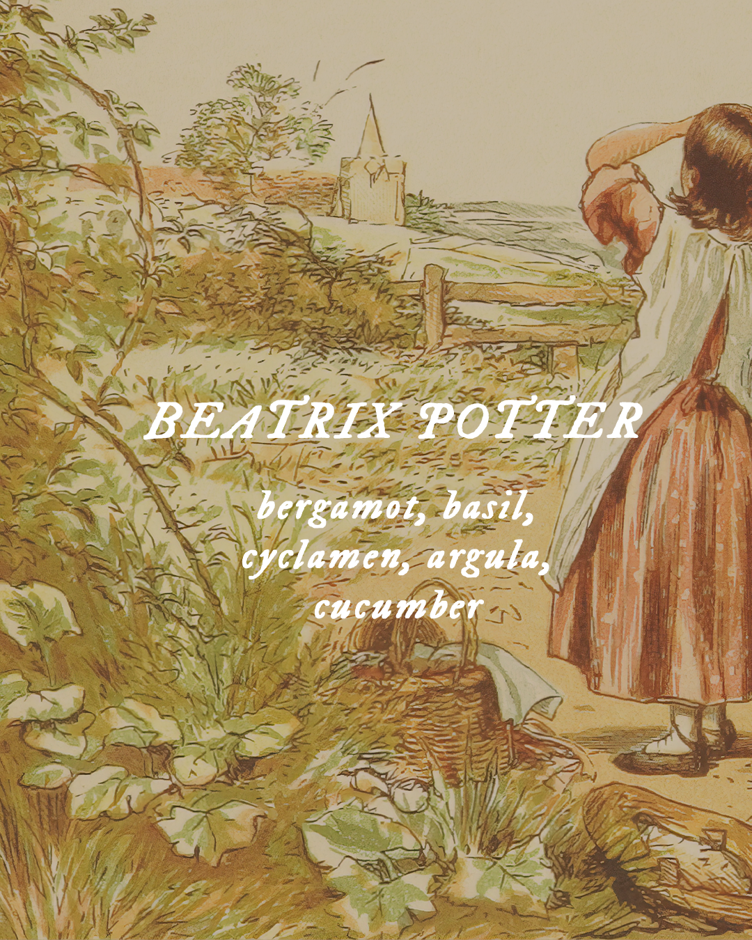 Beatrix Potter - Perfume Oil