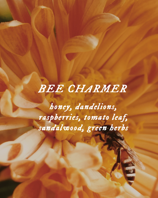 Bee Charmer - Perfume Oil