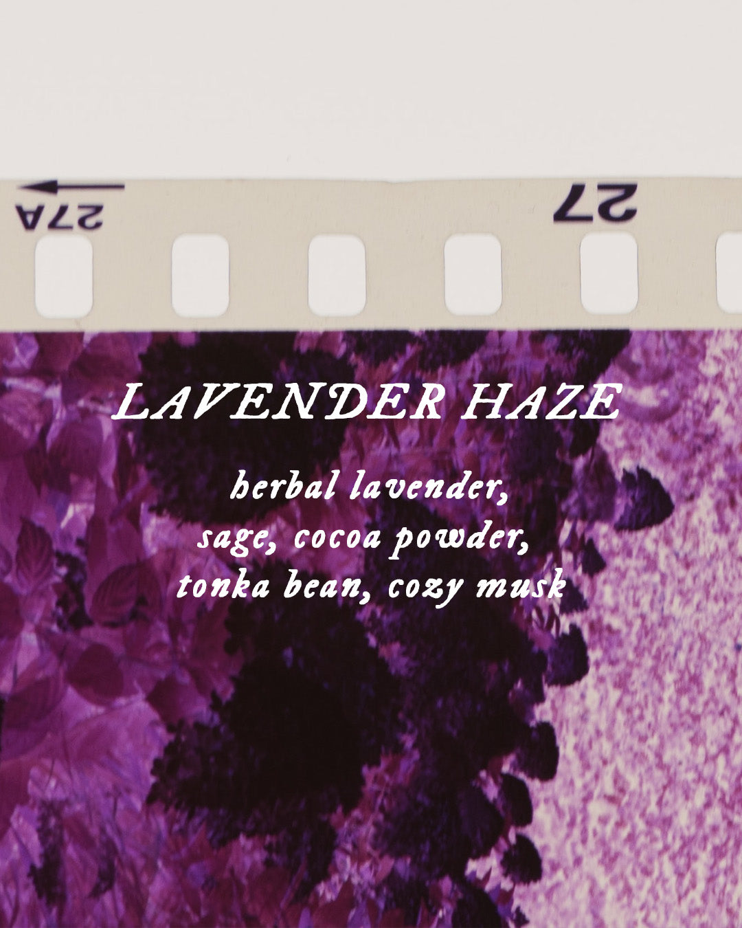 Lavender Haze - Perfume Oil