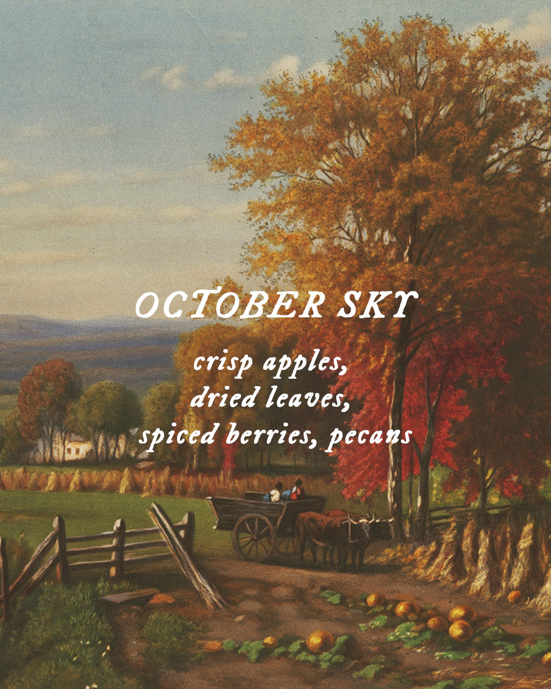 October Sky - Perfume Oil