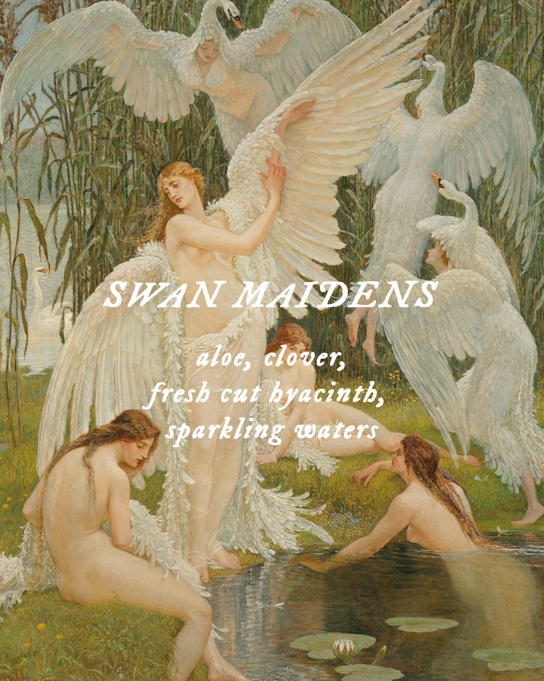Swan Maidens - Perfume Oil